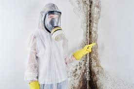 Best Comprehensive Air Testing for Mold Contaminants  in Ardsley, NY